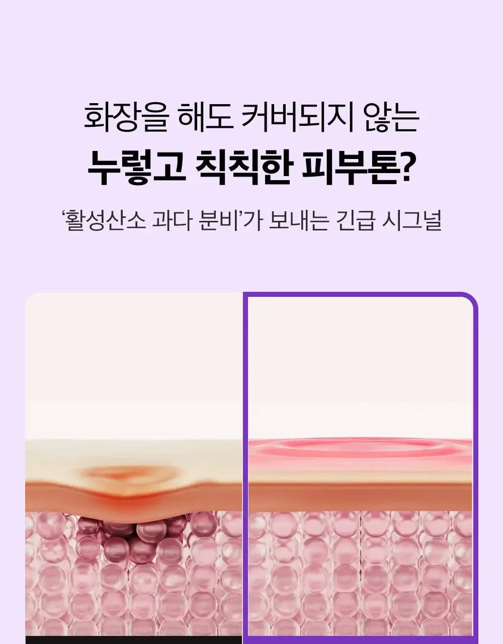 [포켓몬 에디션/잡티미백]성분에디터 머루포도 비타씨 다크 스팟 앰플 40ml 더블기획* 상세페이지 25